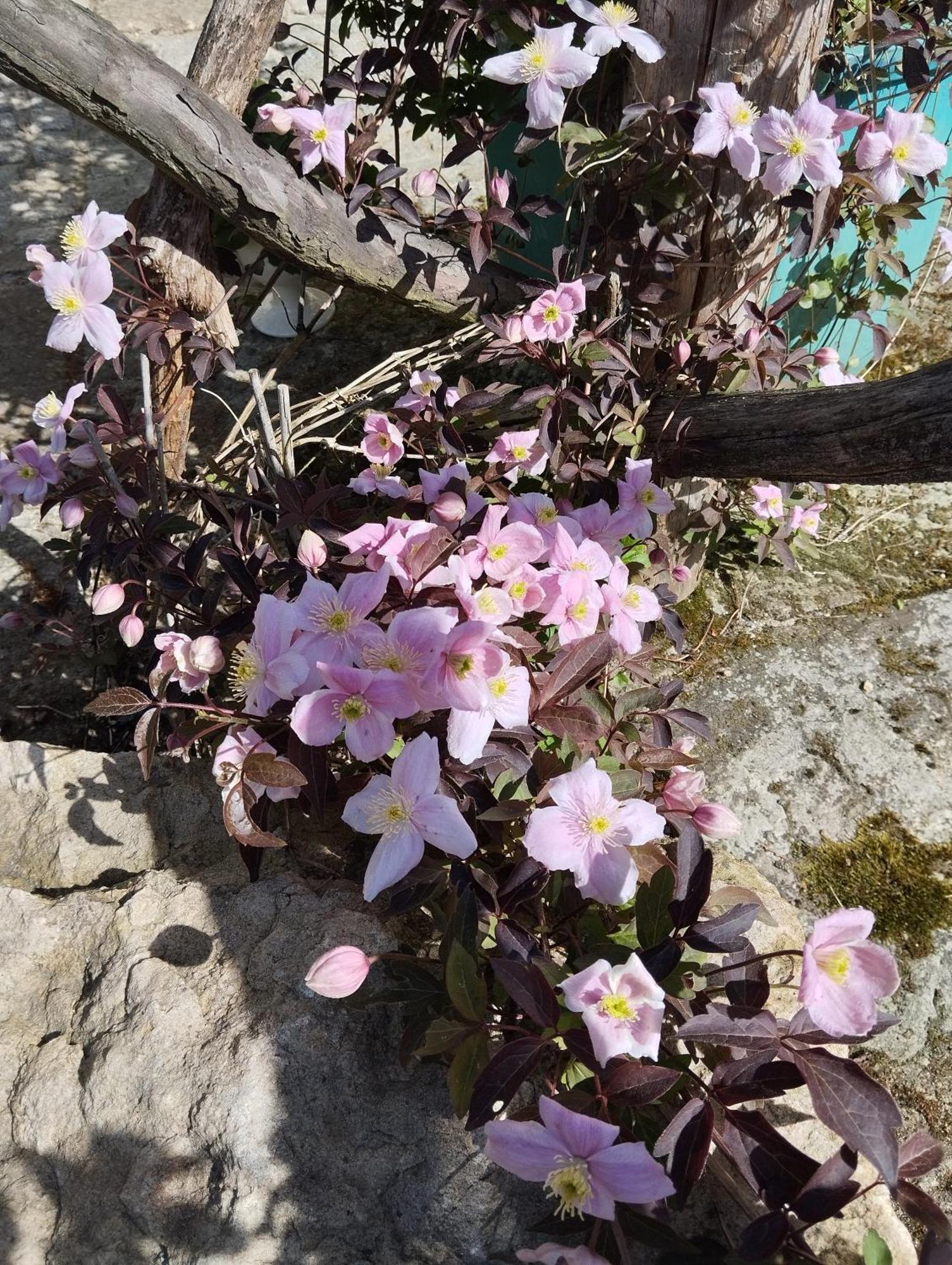 Forellenwasser Rosenthal-Bielatal Экстерьер фото